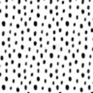 Meet your Posher, Finley